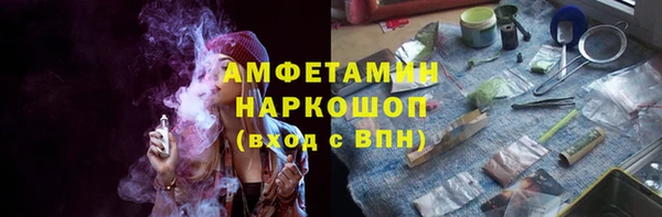 сатива Горнозаводск