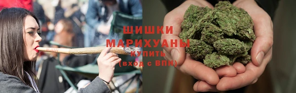 сатива Горнозаводск