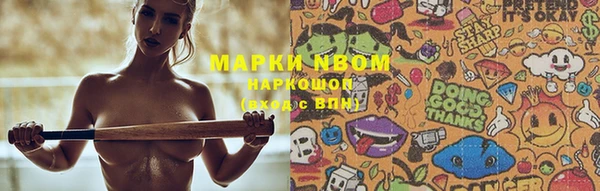 сатива Горнозаводск