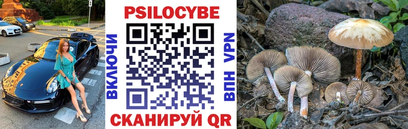Галлюциногенные грибы Psilocybe  Купить где  Обь 