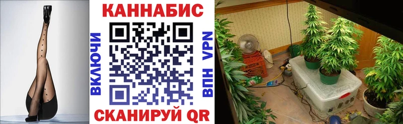 Каннабис конопля  Купить закладки  Обь 